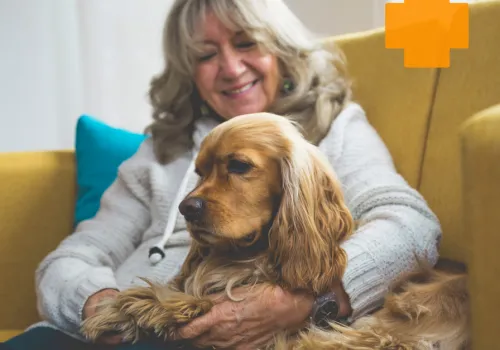 dog and owner on sofa