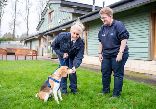 RSPCA inspector with Bath Cats and Dogs Home team on World Animal Day