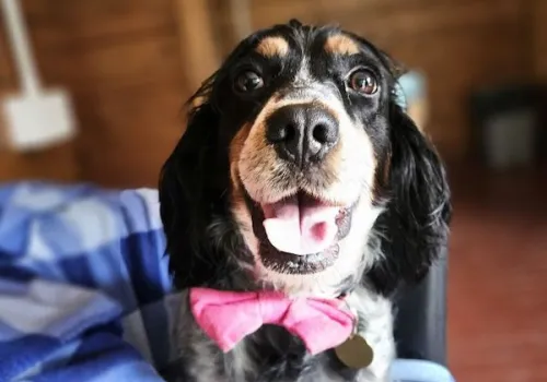 Winnie's story image