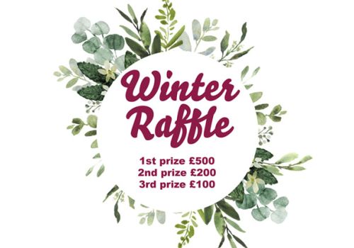 Winter Raffle graphic