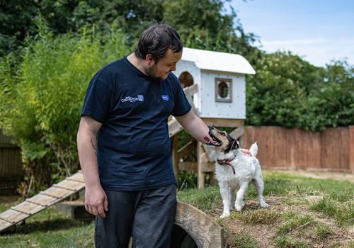 Staff and dog in the enrichment garden