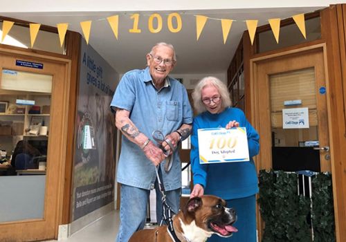 Celebrating the 100th dog adoption this year