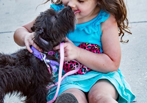 child and dog licking her face