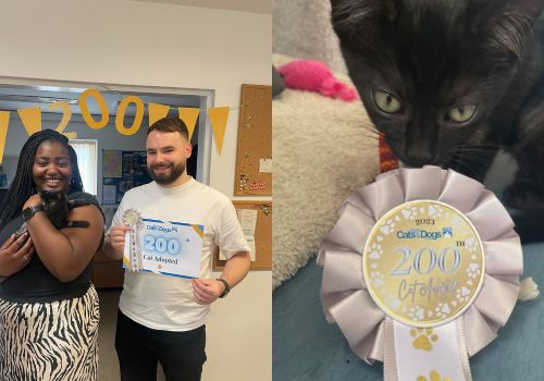 200th Cat Adoption