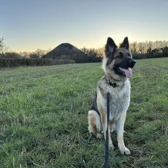 Mack's adoption story image