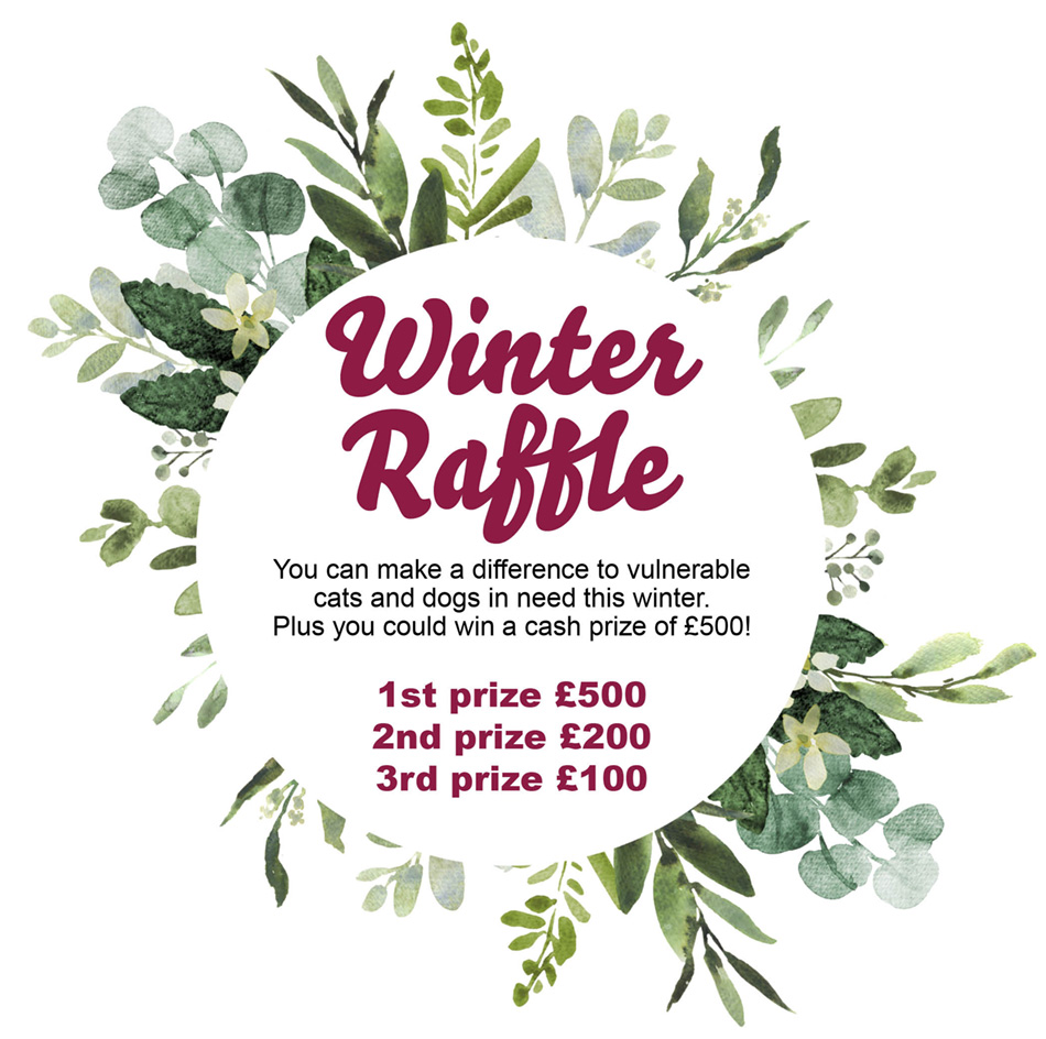 Winter Raffle graphic with prize details 