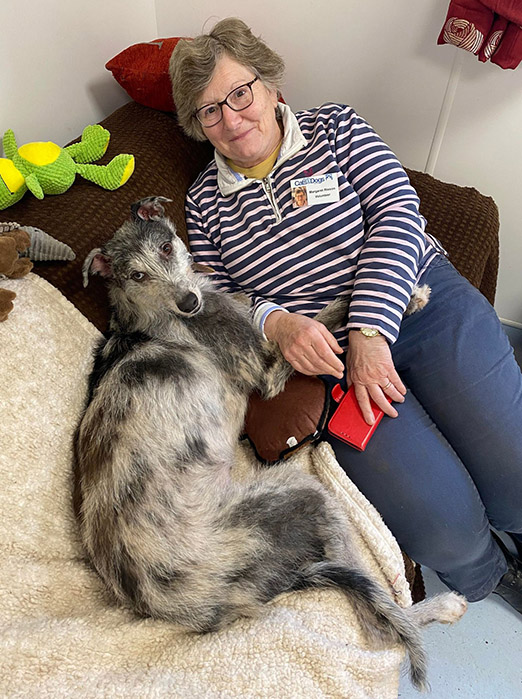 Volunteer Margaret with a dog in the real-life room 