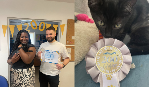 200th Cat Adoption 