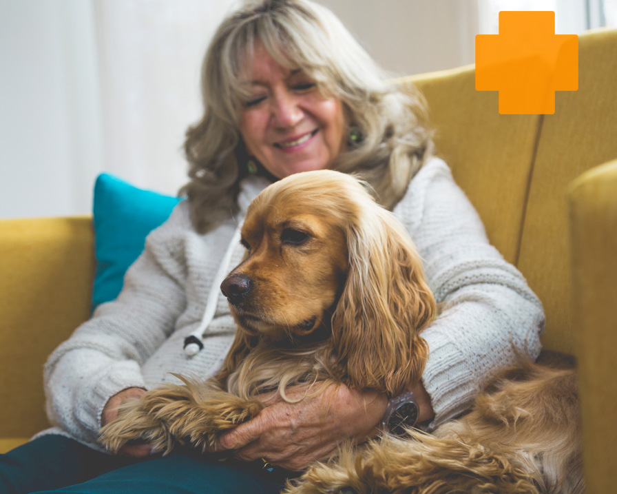 dog and owner on sofa 