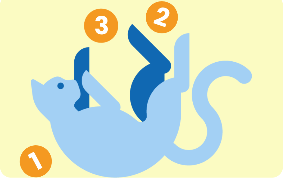 Illustration of a cat on their back playing with balls, which have numbers on them 