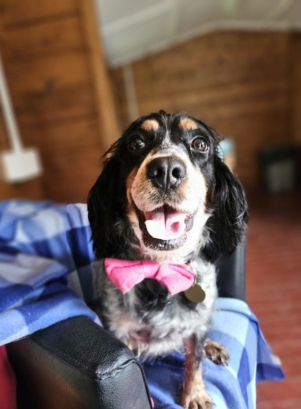 Winnie's story image 