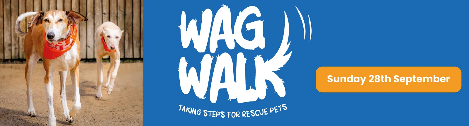 Wag Walk image