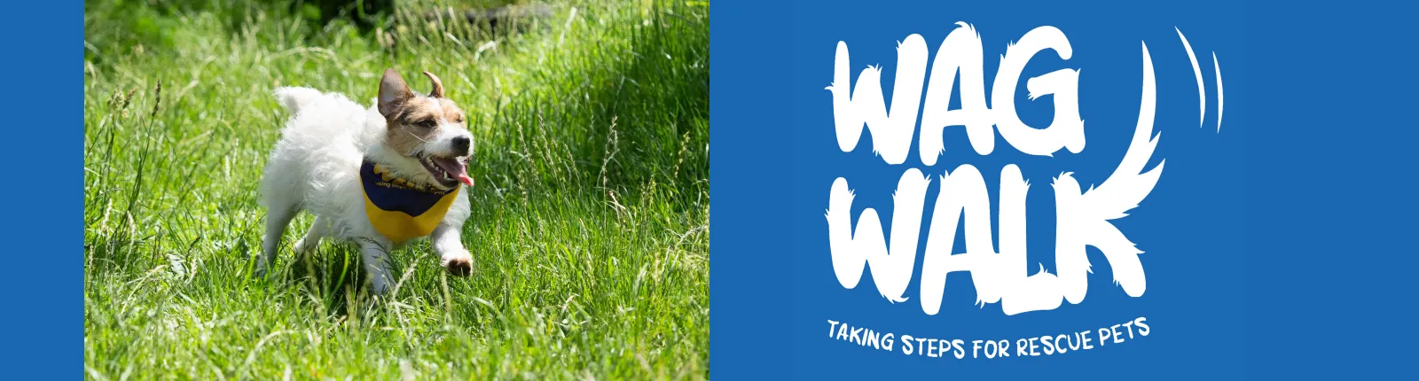 Wag Walk 2026 image