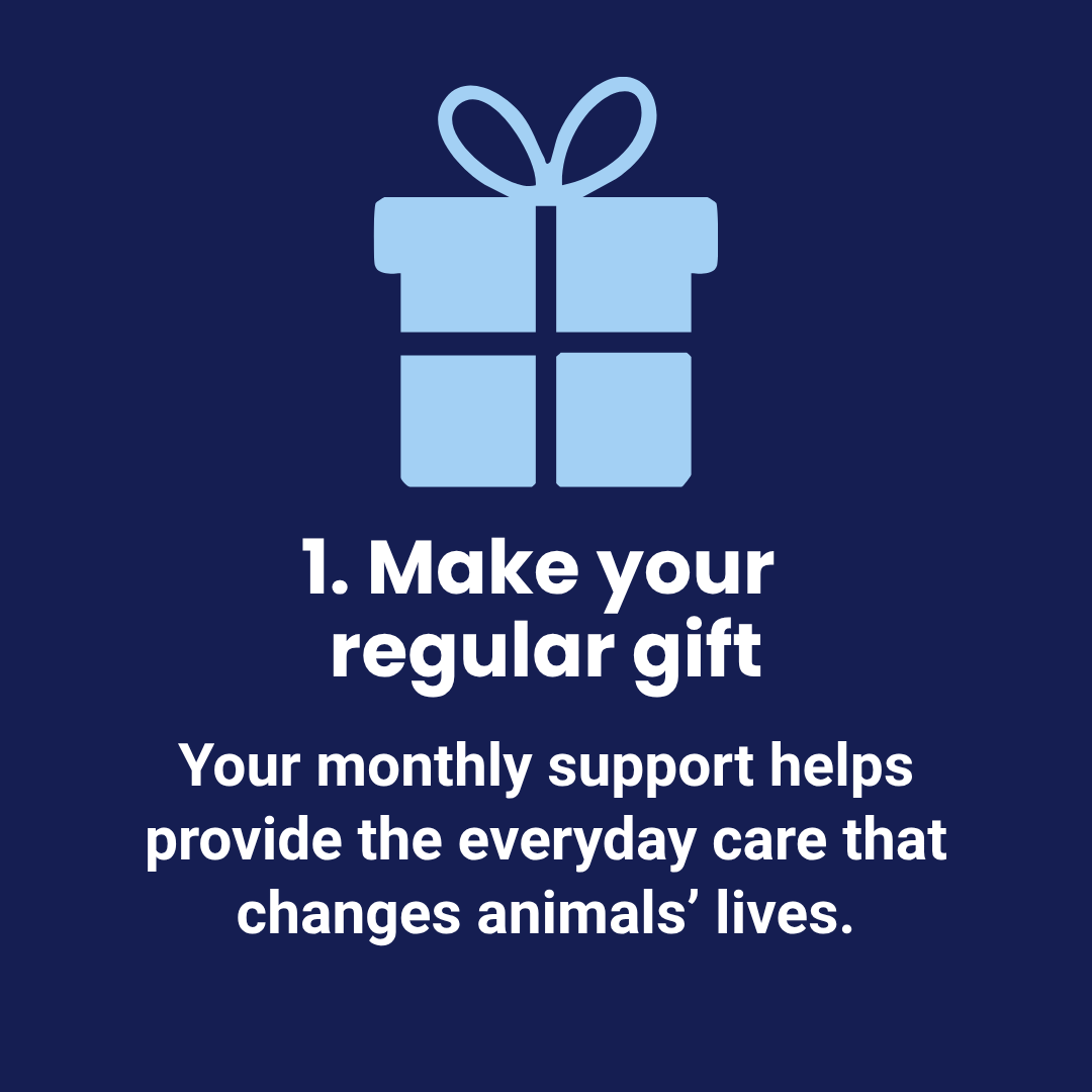 Make your regular gift - Your monthly support helps provide the everyday care that cahnges animals' lives.