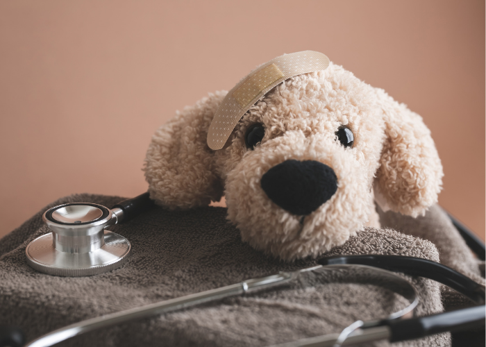 A cream cuddly toy dog with a plaster on its head, on a grey towel with a stethoscope