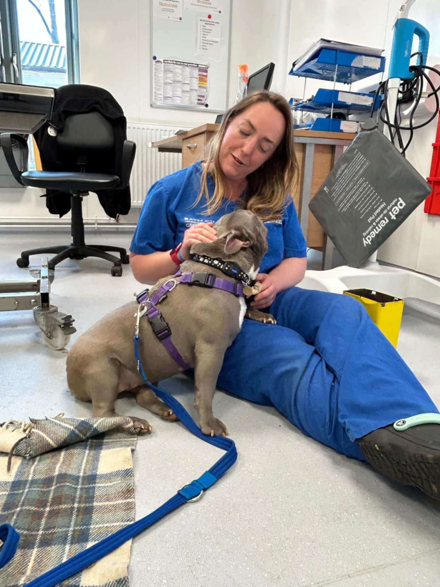 Nana in the vet suite