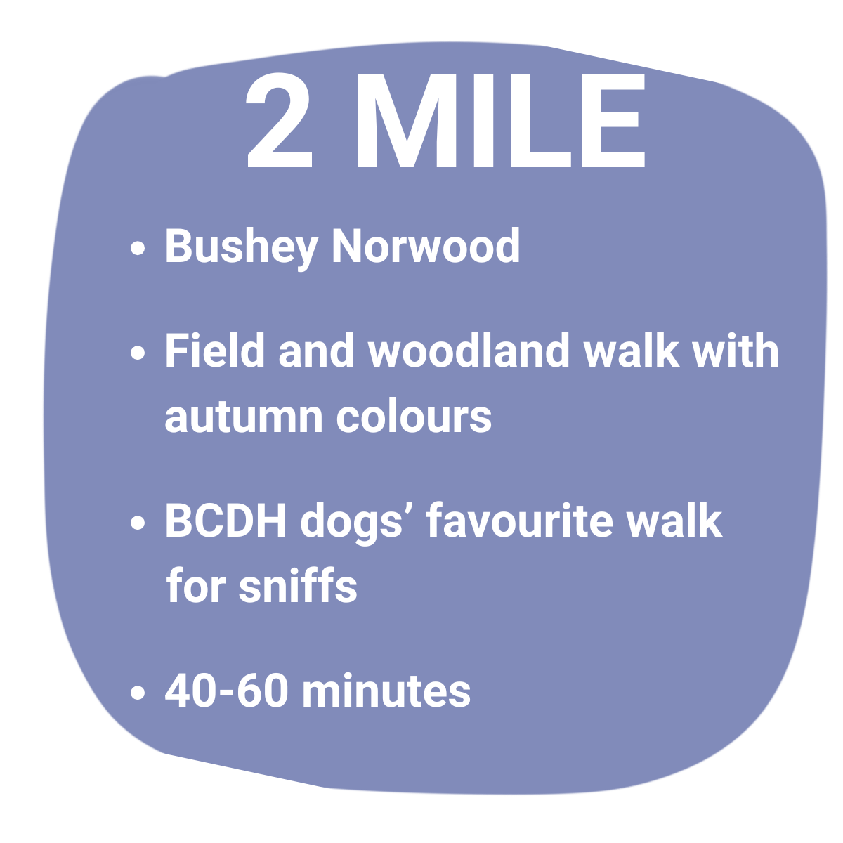2 mile route - Bushey Norwood, field and woodland walk with autumn colours, BCDH dogs' favourite walk for sniffs, 40-60 minutes
