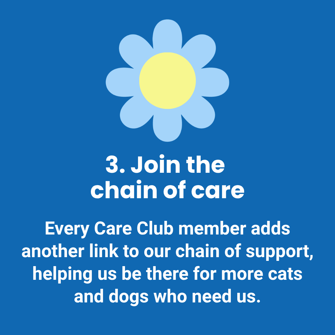 Join the chain of care - Every Care Club member adds another link to our chain of support, helping us be there for more cats and dogs who need us.