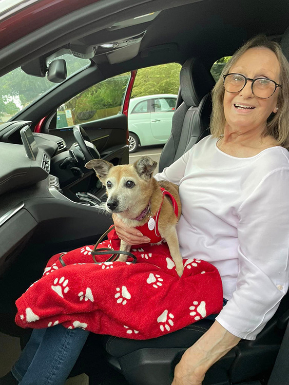 Lucy the jack russell being adopted