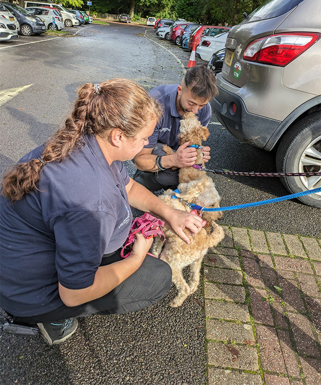 Carers saying goodbye as they head to their new home