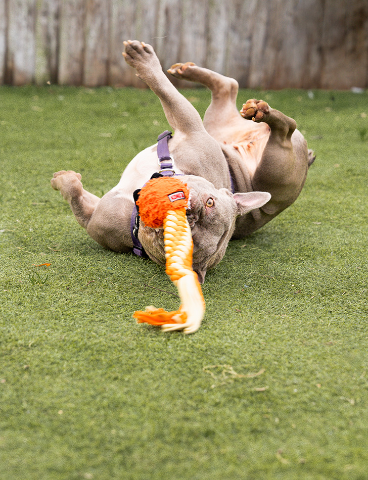 Nana playing with a toy