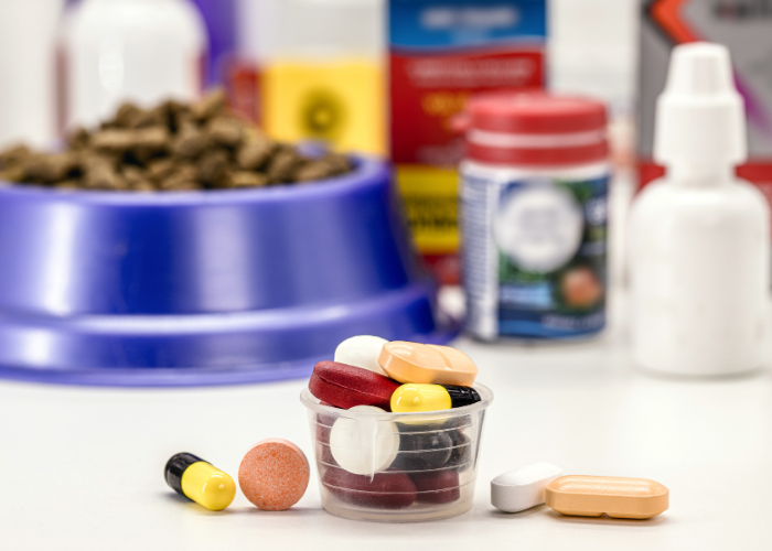 Medication with a pet food bowl in the background