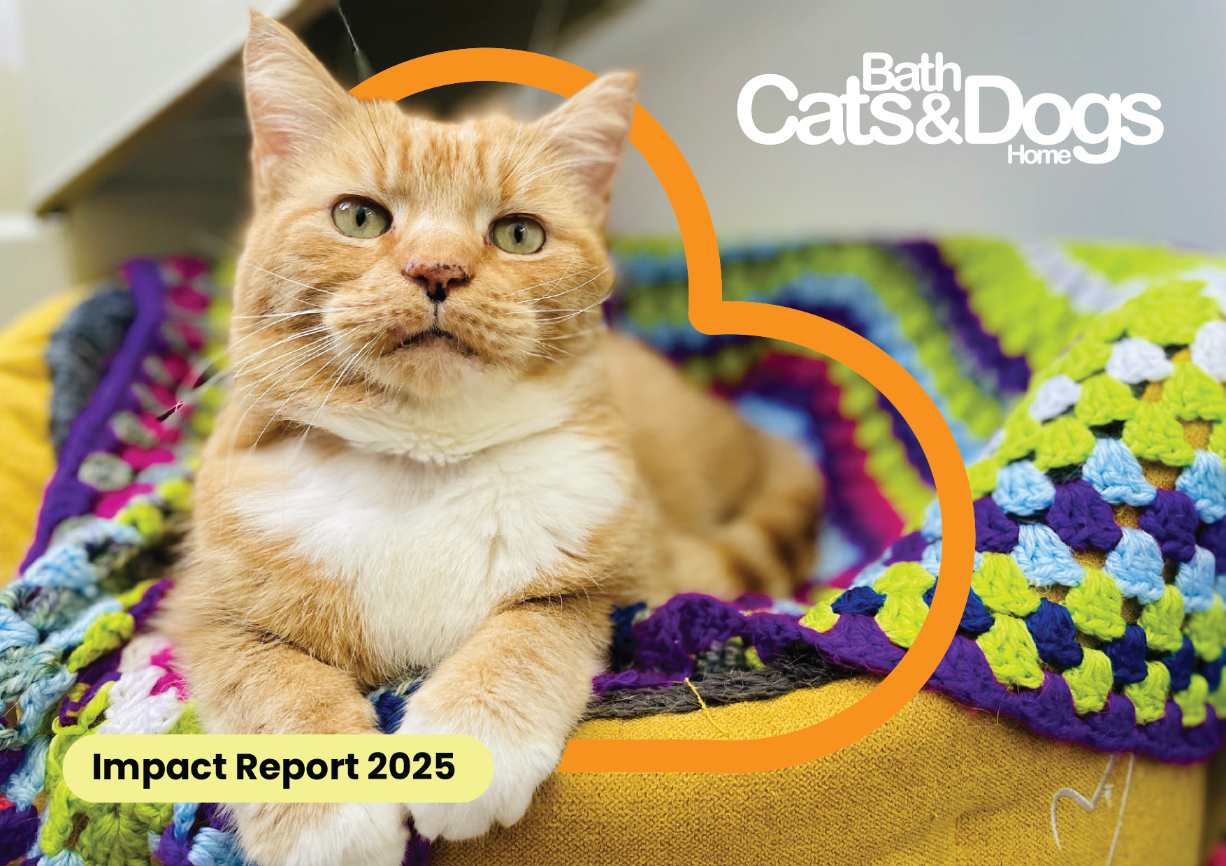 Bath Ctas and Dogs Home Impact Report 2025, click to open pdf