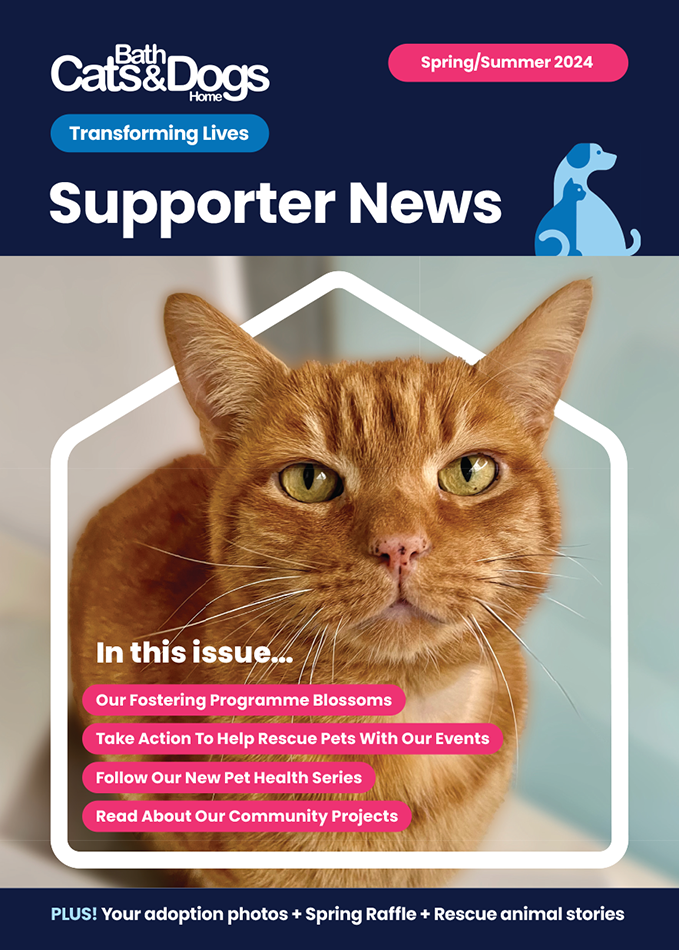 Front cover of our Spring / Summer Newsletter. please click to read online.