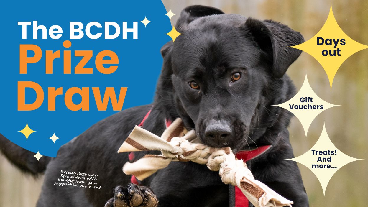 A black dog running with its prize, advertising a charity raffle