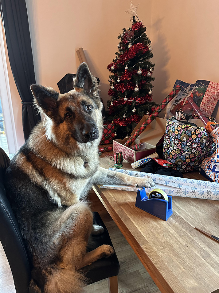 Dog at Christmas time with paw on wrapping paper roll and tree int he background