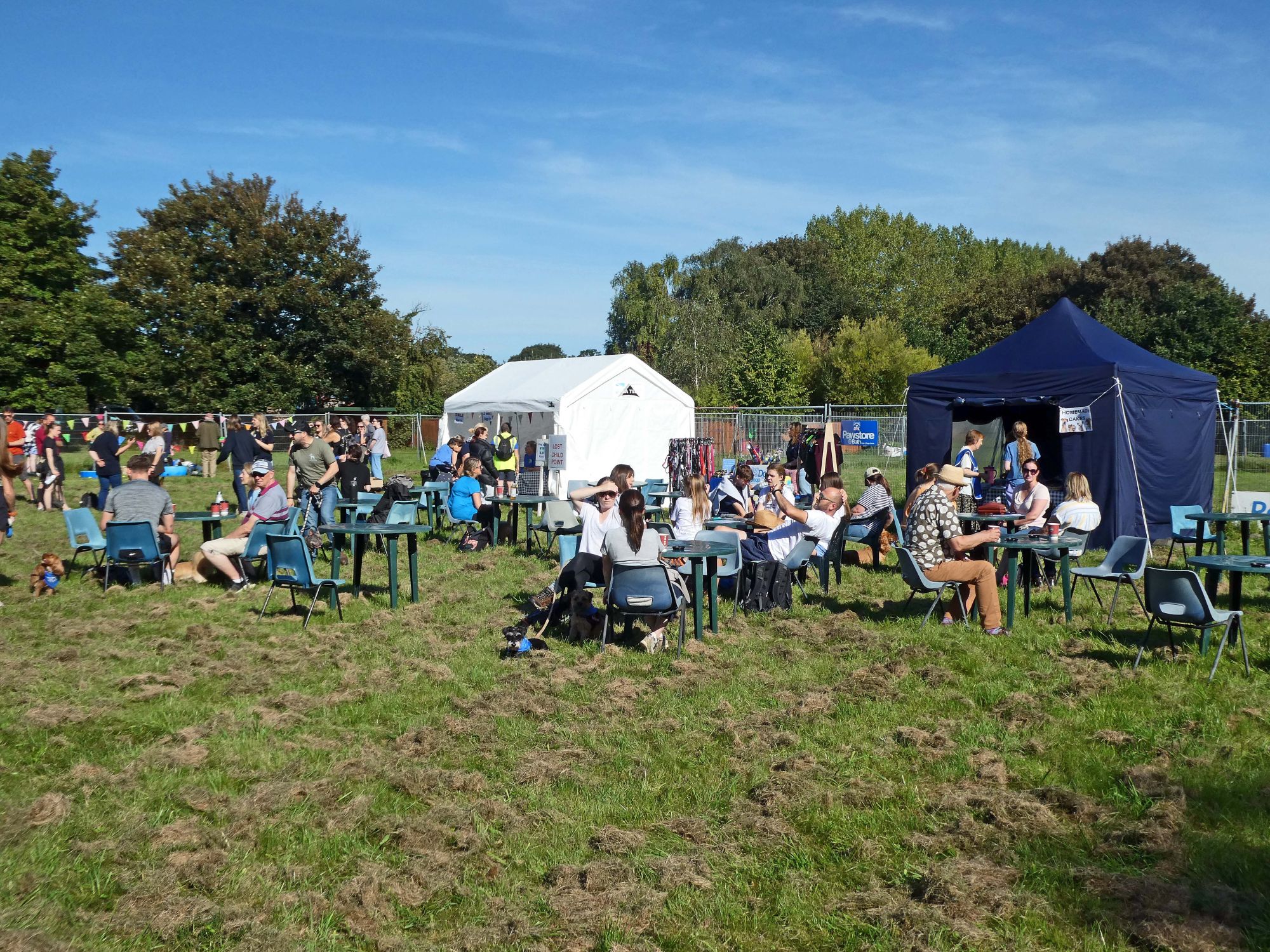 attendees at Wag Walk