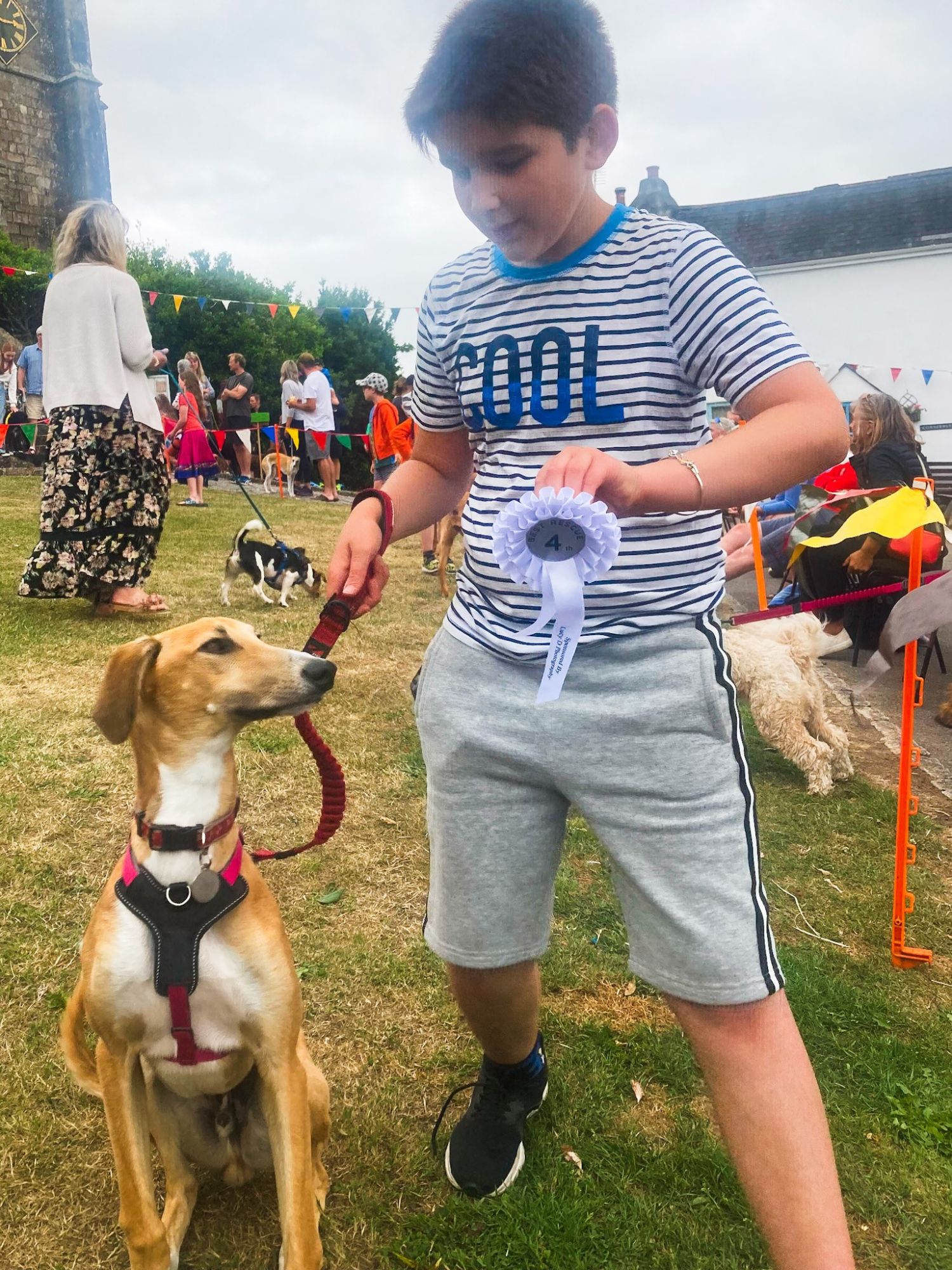 rupert the lurcher