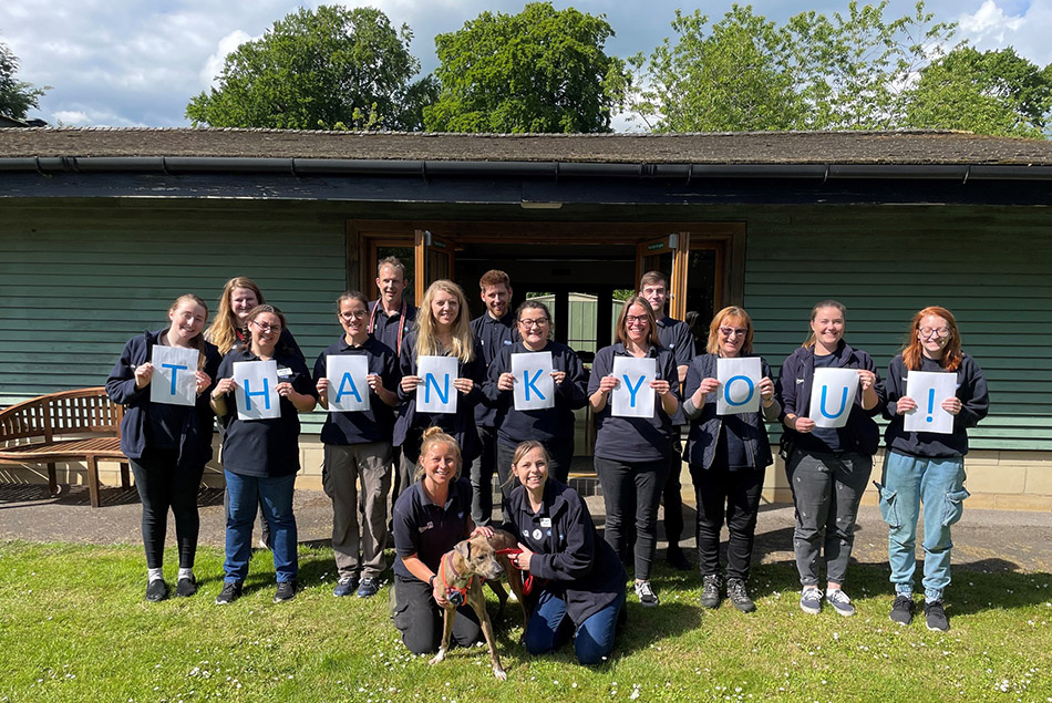 Group of BCDH staff and a rescue dog standing outside and smiling broadly, holding up letters that spell out 'thank you'
