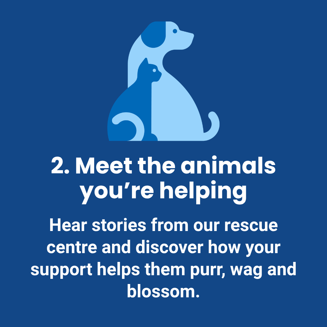 Meet the animals you're helping - Hear stories from our rescue centre and discover how your support helps them purr, wag and blossom.