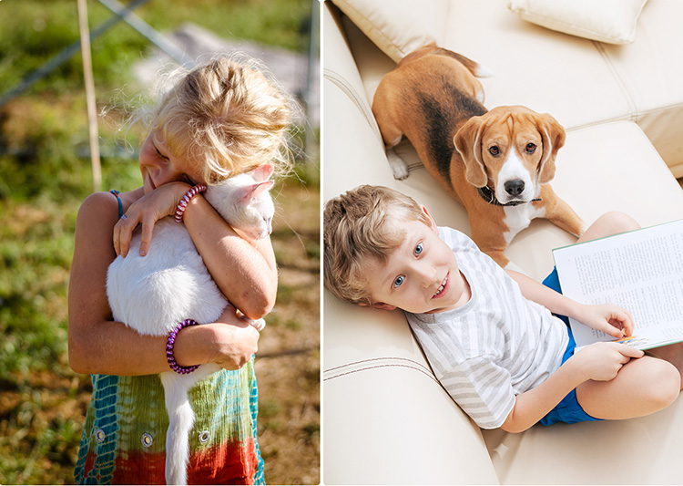 children and pets, girl holding a cat and boy with a dog on a sofa