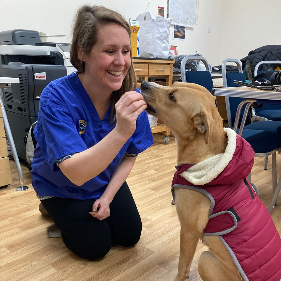 Volunteer vet with a dogs as part of our outreach program The Together Project