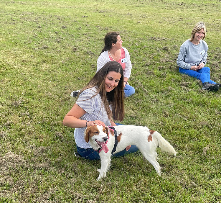 CVD days meeting rescue animals