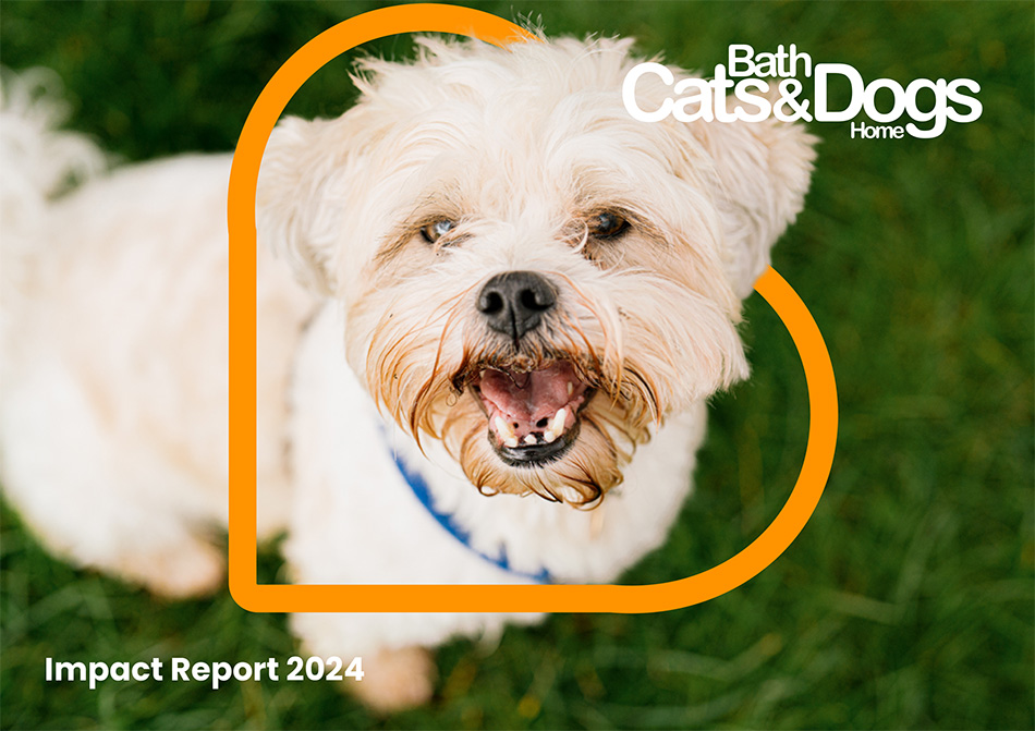 Click here to open a PDF of Bath Cats and Dogs Home Impact Report 2024