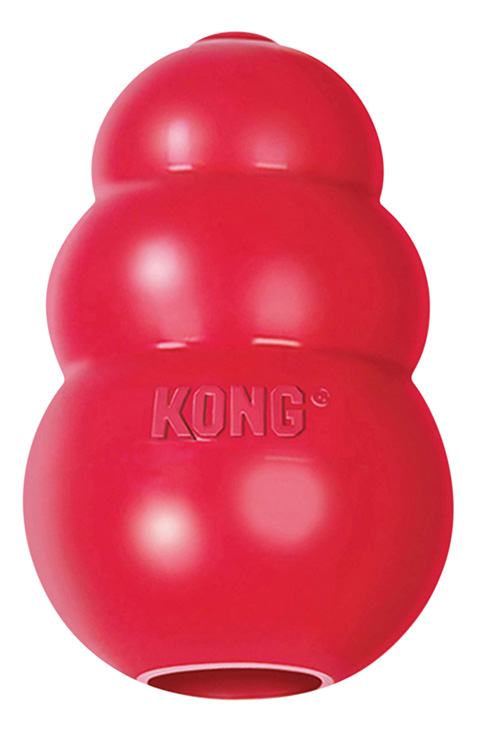 Kong enrichment toy