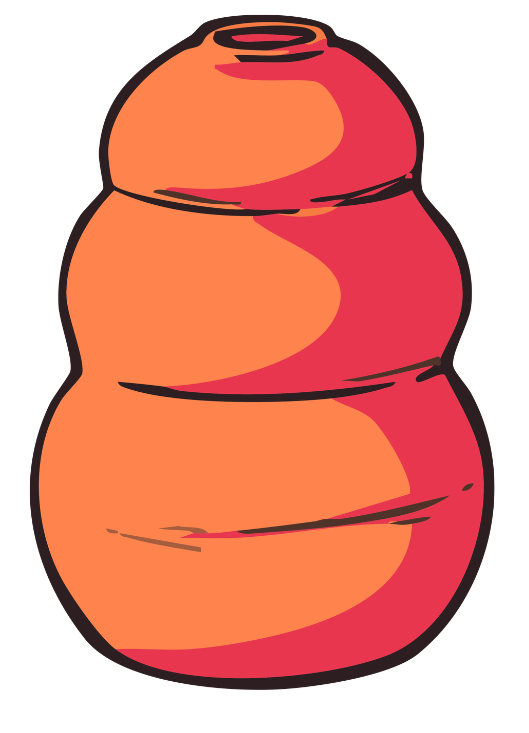 Kong toy