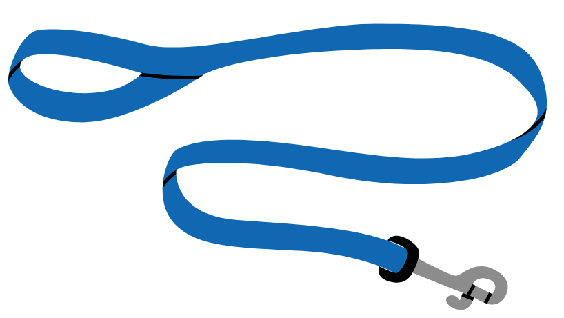 dog lead