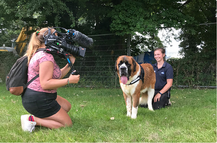 Film crew videoing carer with a dog for television