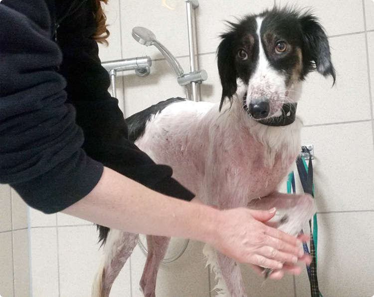 Brooke having medicated bath for her skin condition