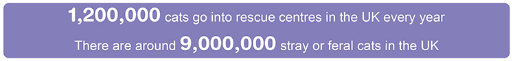 number of stray and rescue cats in the UK