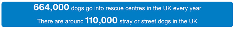 number of stray and rescue dogs in the UK