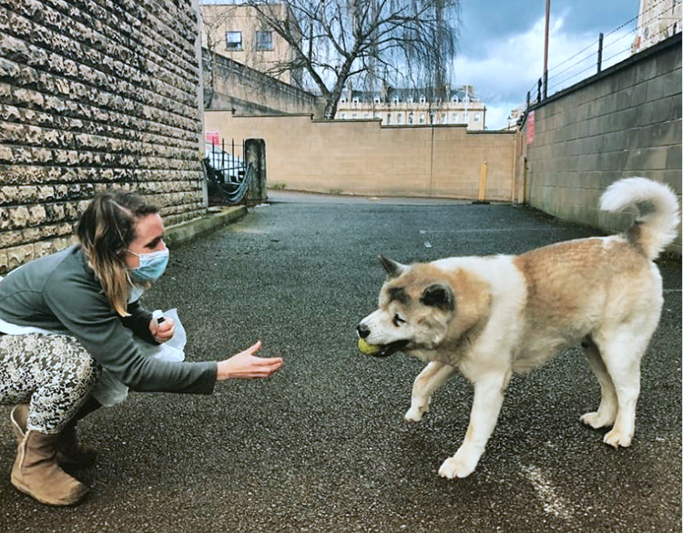 Vet nurse playing ball with a street dog