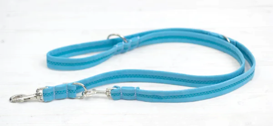 example of a training lead