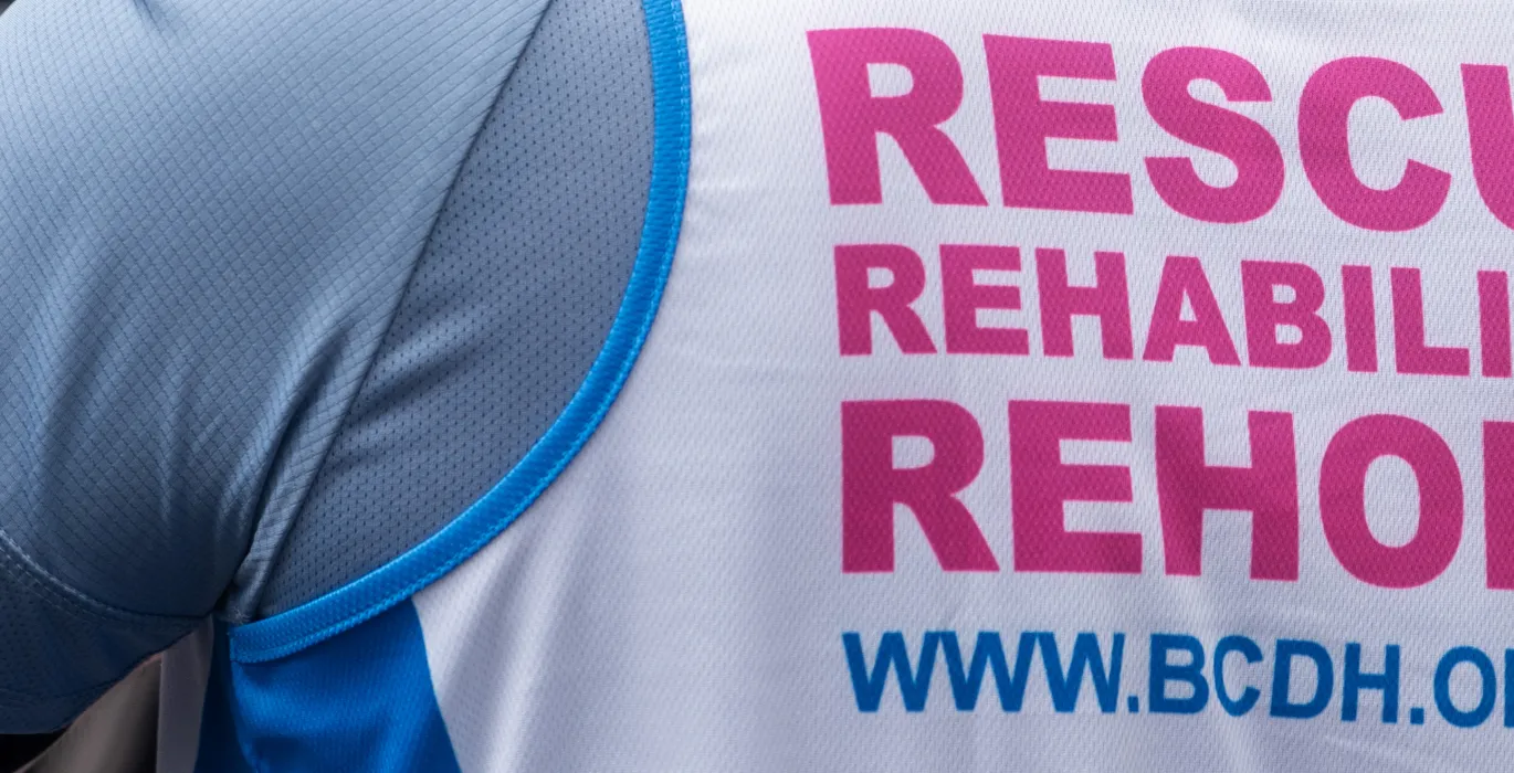 Fundraise image