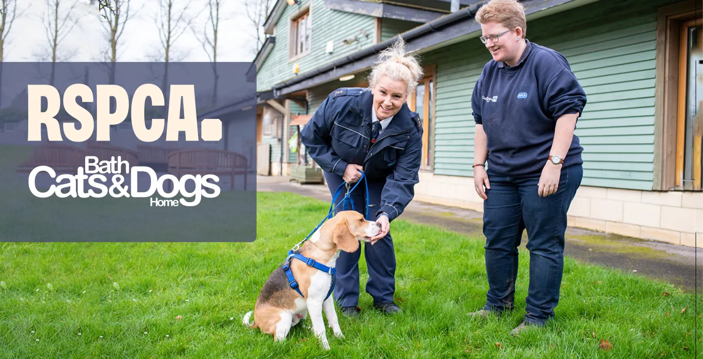 Our RSPCA connection image