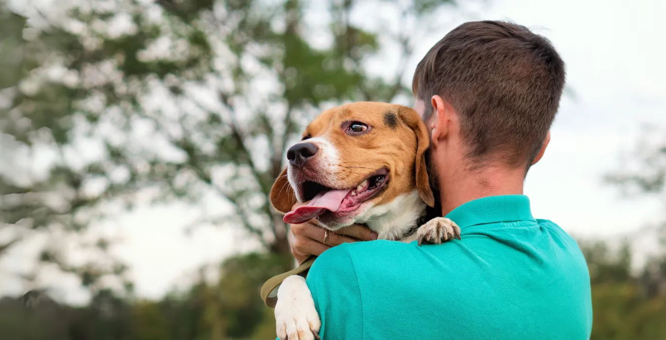 Where to get your pet image
